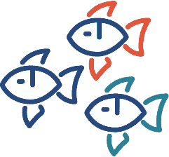 School of Fish