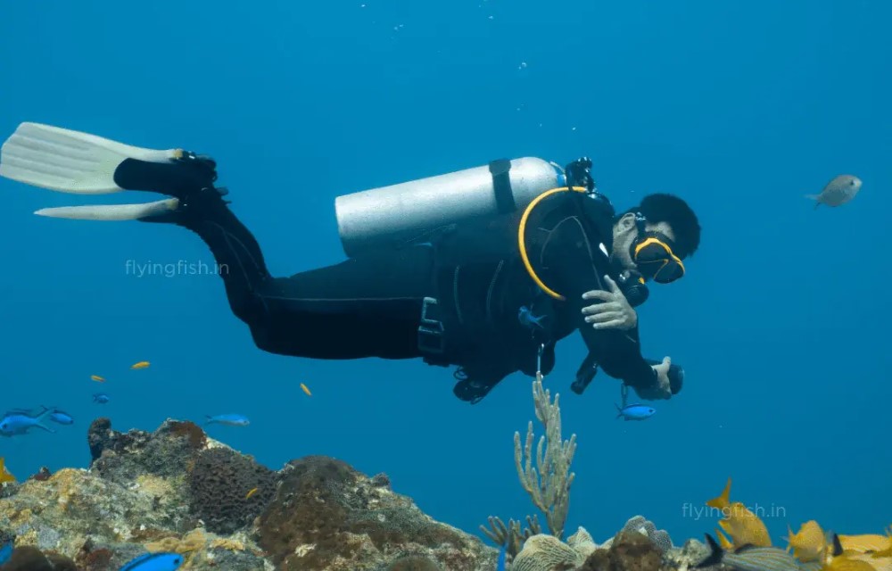 Scuba Diver