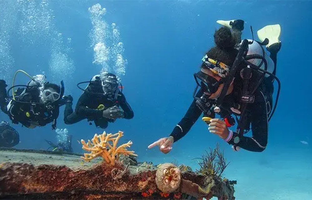 Dive Master