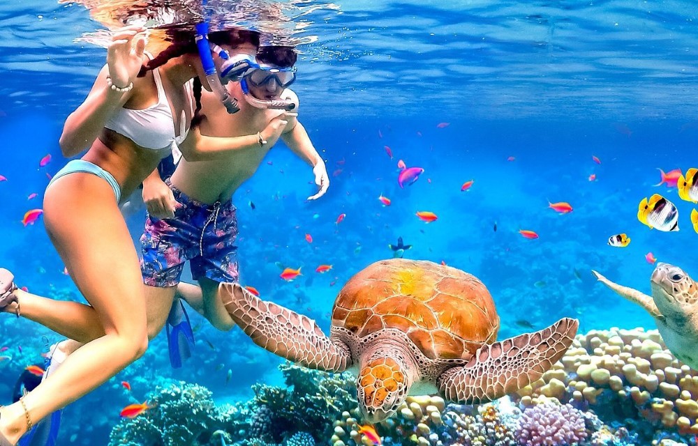 Snorkeling